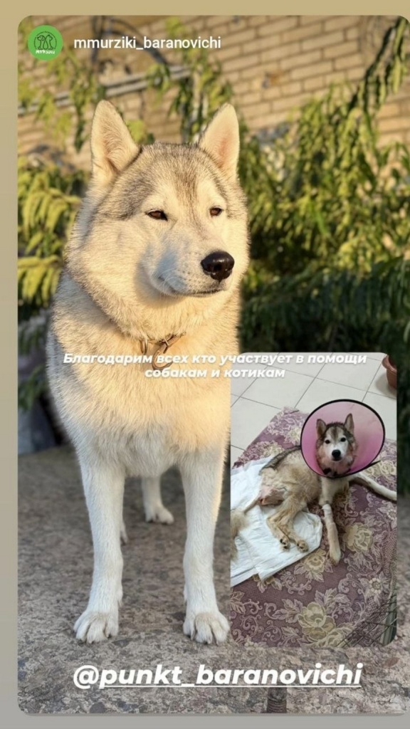 laki1.jpg laki1.jpg