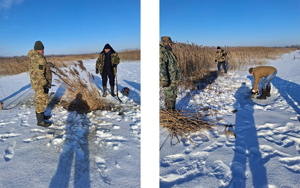 photo_2026-02-11_14-56-571.jpg photo_2026-02-11_14-56-571.jpg