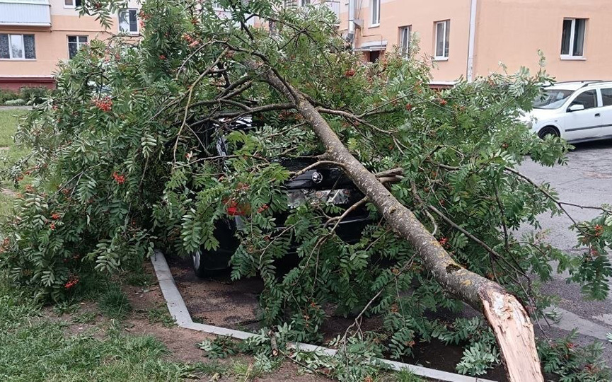 tsaruka-.jpg