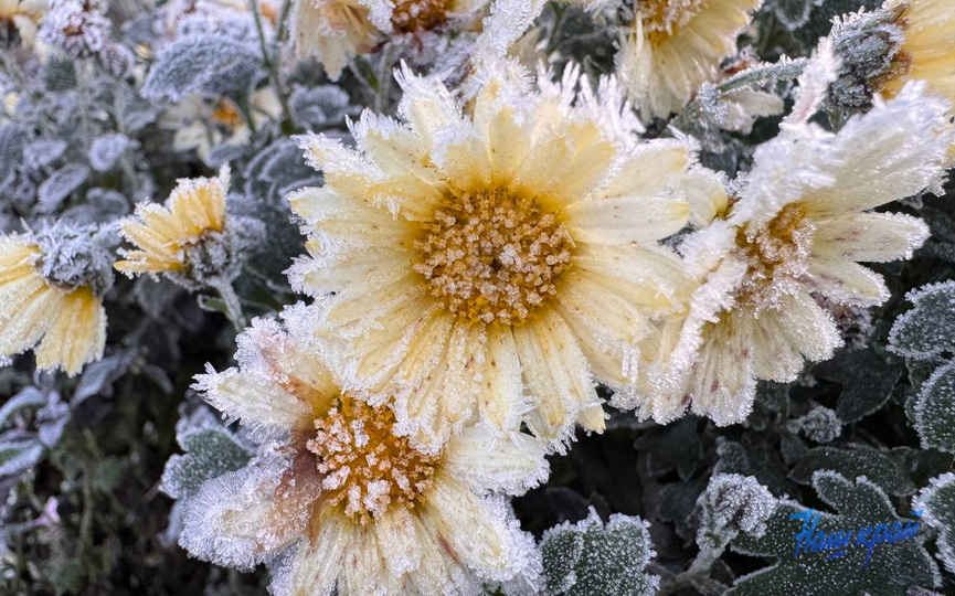 photo_zamorozki-2_2.jpg photo_zamorozki-2_2.jpg