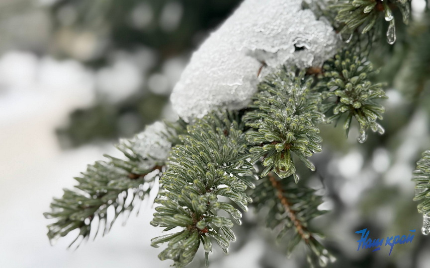 photo_2026-01-27_13-04-35.jpg photo_2026-01-27_13-04-35.jpg