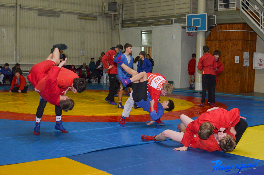 sambo-(4).jpg