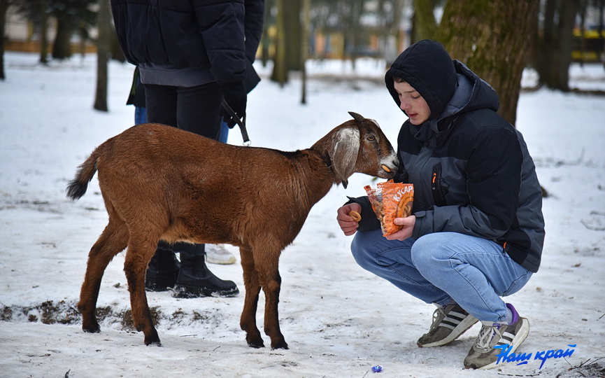 maslenitsa-4_29.JPG