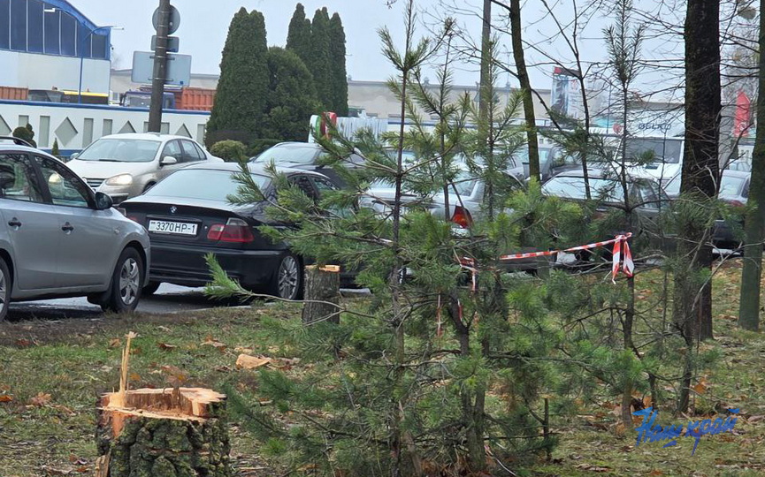 photo_2025-11-13_11-31-09.jpg photo_2025-11-13_11-31-09.jpg