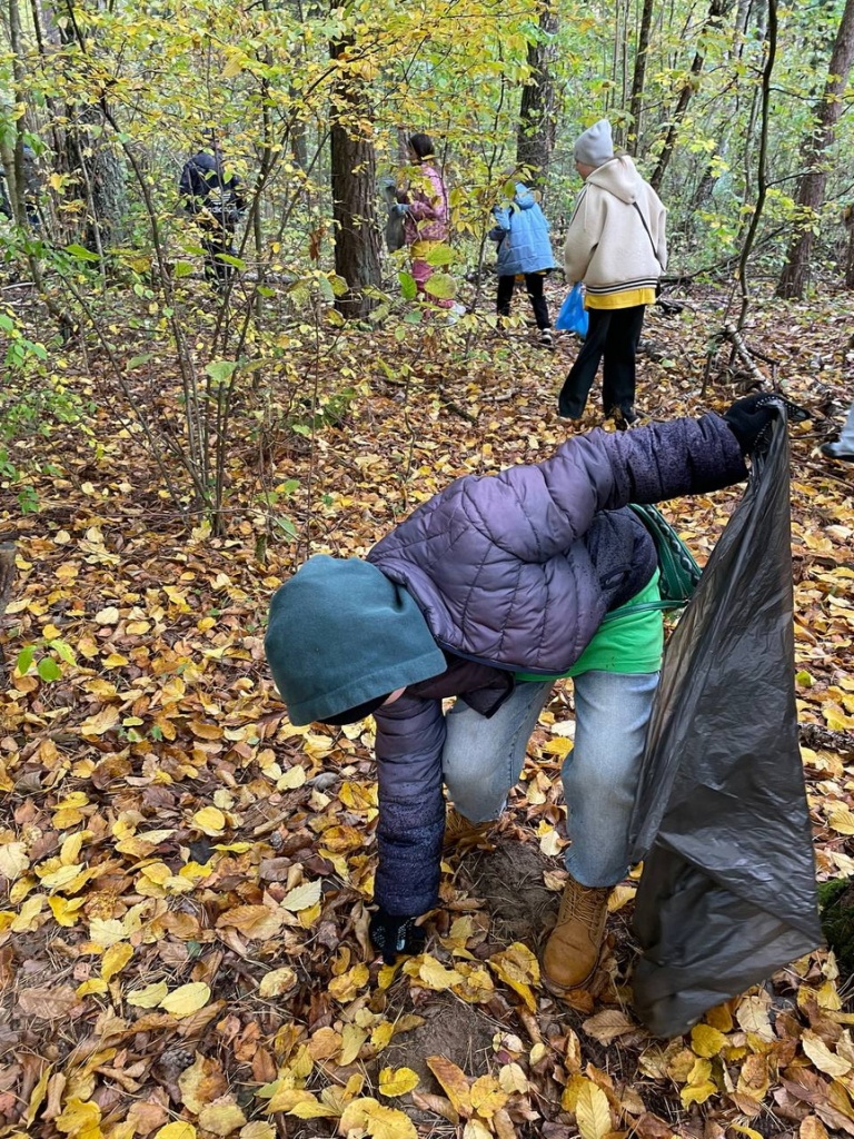 2025-10-11_12-00-(8).jpg 2025-10-11_12-00-(8).jpg