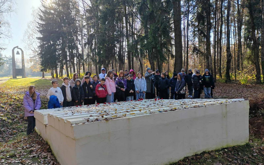 6-11-2025-(10)gaj.jpg 6-11-2025-(10)gaj.jpg