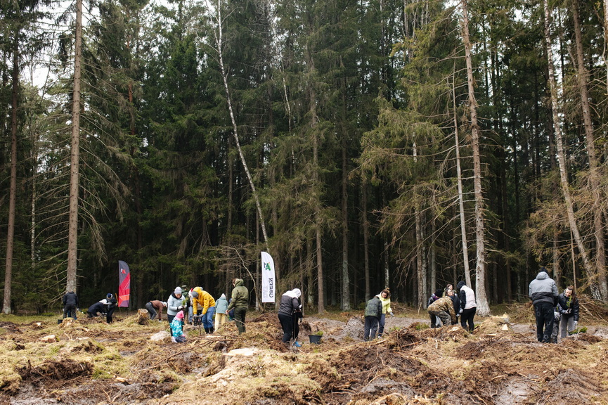 0181_resized.jpg 0181_resized.jpg