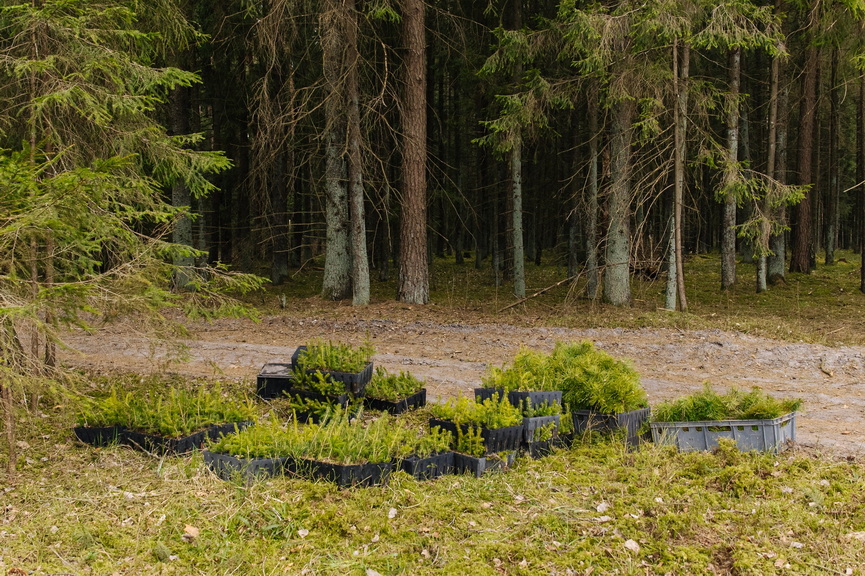 0263_resized.jpg 0263_resized.jpg