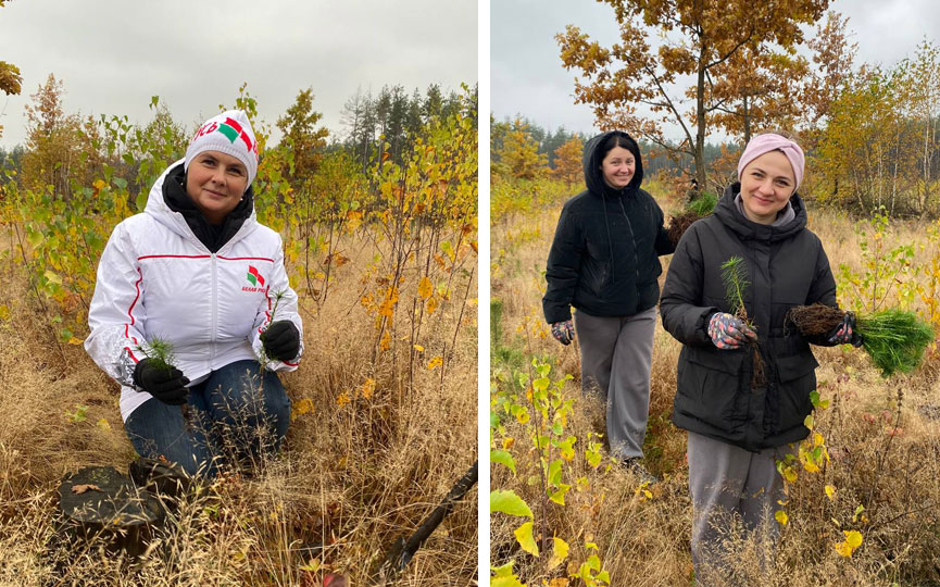 2025-10-24_12-23-(4).jpg 2025-10-24_12-23-(4).jpg