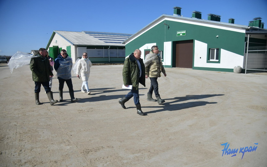 photo_2026-03-05_16-15-12 (3).jpg