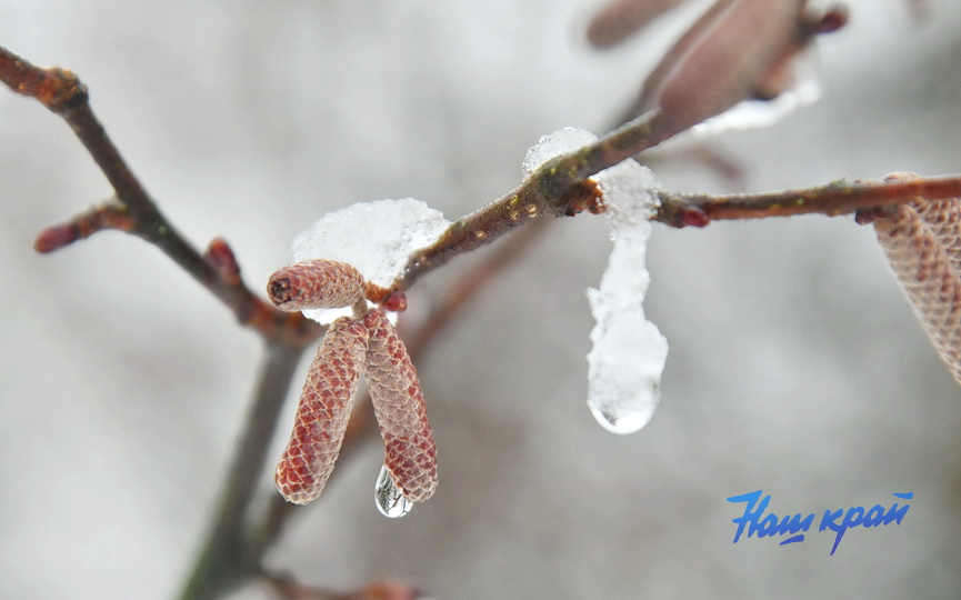 zima-28-01_0023 (15).JPG