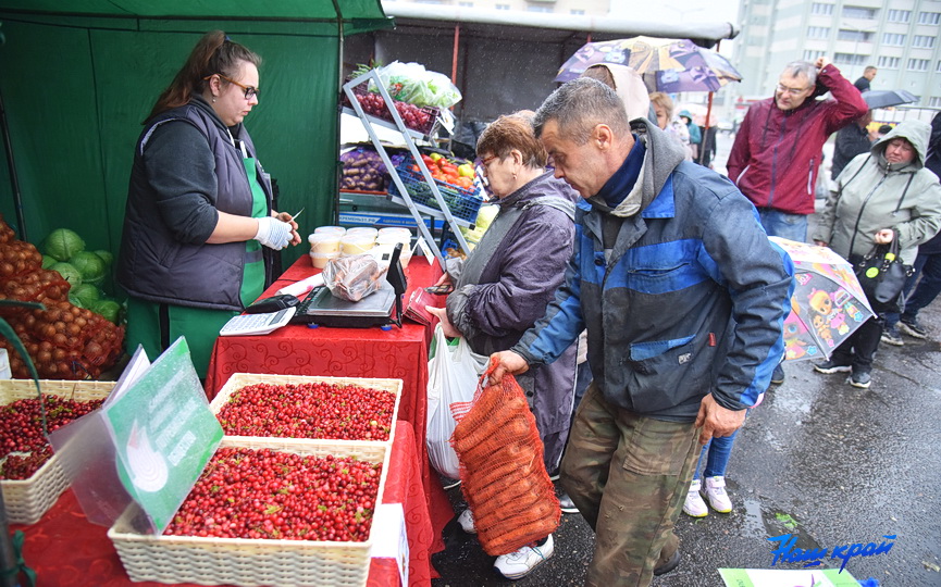 yarmarka-v-centre-baranovichej_07.JPG