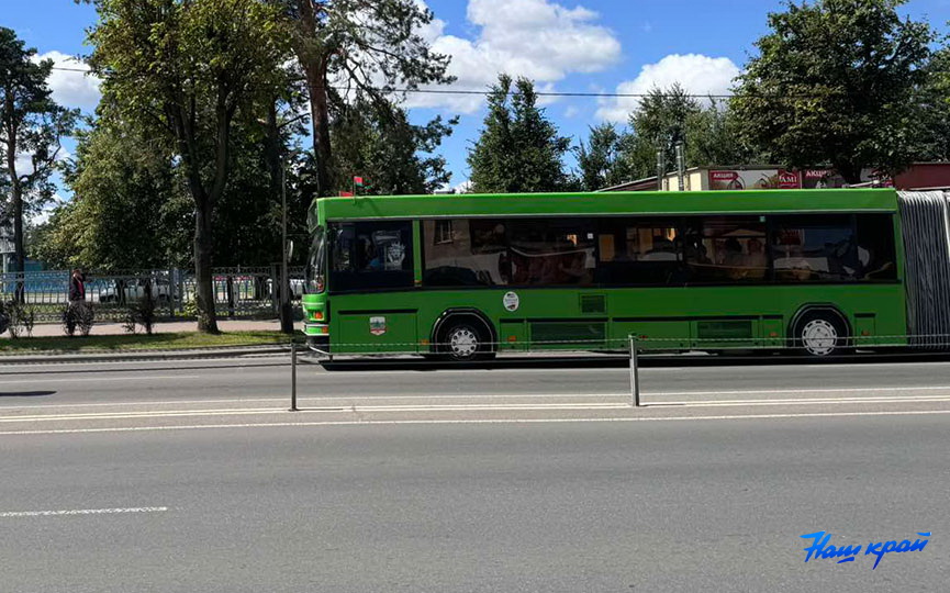 avtobus-(3).jpg