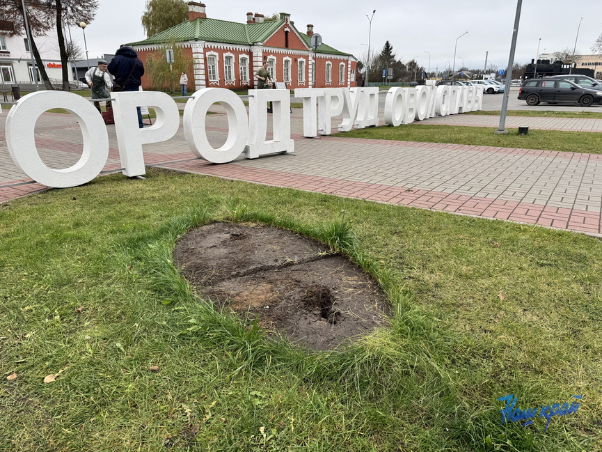 _7061 (3).jpeg _7061 (3).jpeg