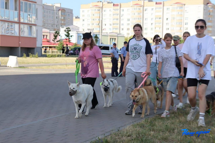 2026-06-28_06-37-31 (2).jpg