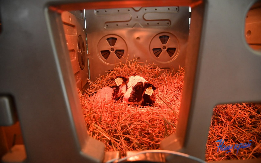 photo_2026-03-05_16-15-12 (6).jpg