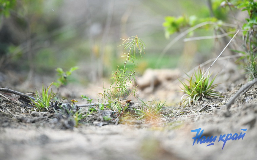 subbotnik-_3748 (14).JPG