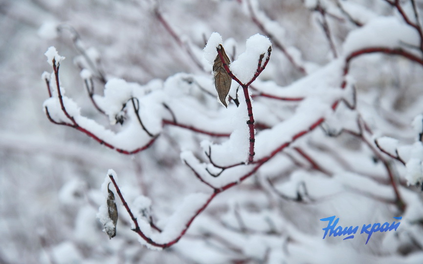 zima-28-01_0023 (3).JPG