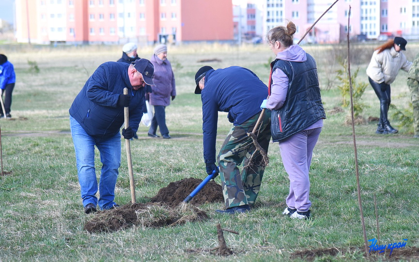 subbotnik-gorod-5.JPG