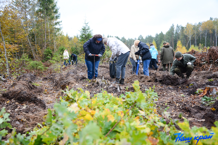 les-(29).jpg les-(29).jpg