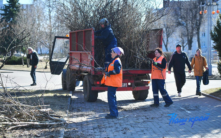 obrezka-derevya (5).JPG