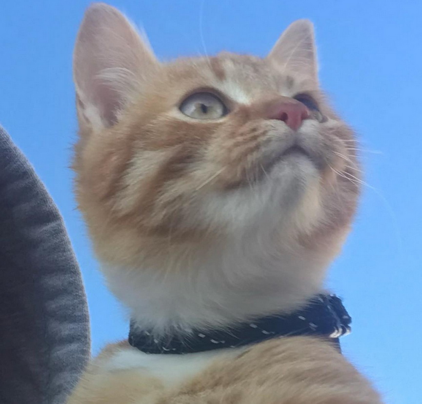 simba-2023_1.JPG