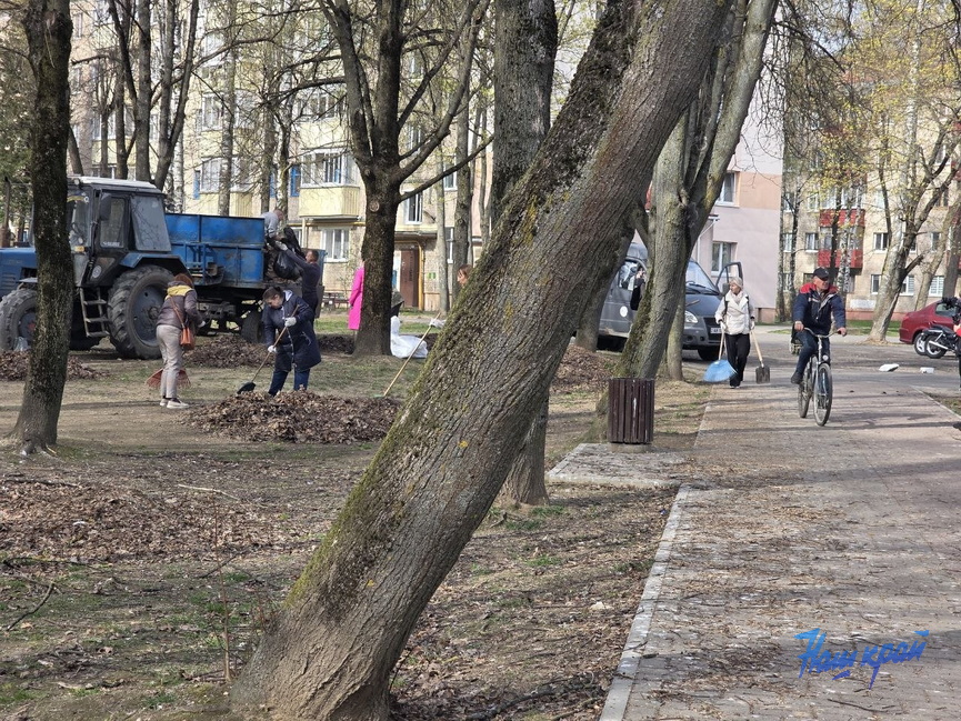 photo_2026-04-15_17-08-51.jpg photo_2026-04-15_17-08-51.jpg