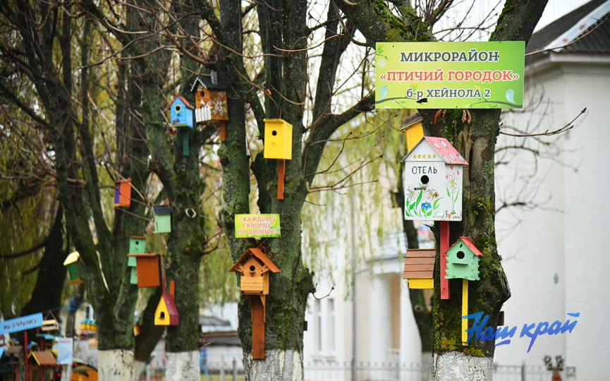 pogoda-1-dekabrya- (14).JPG