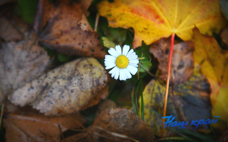 pogoda_7268 (13).jpg