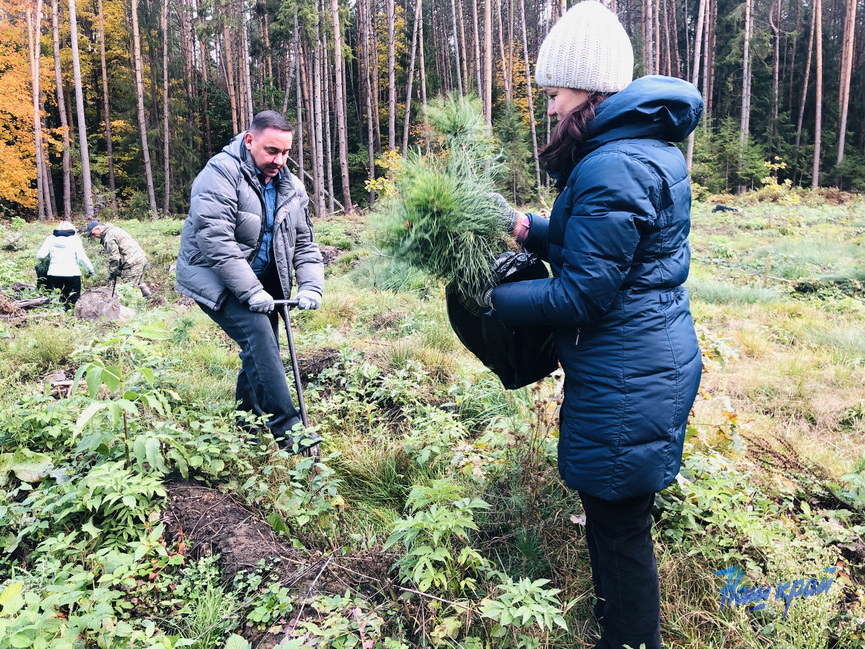 IMG_0932.jpg IMG_0932.jpg