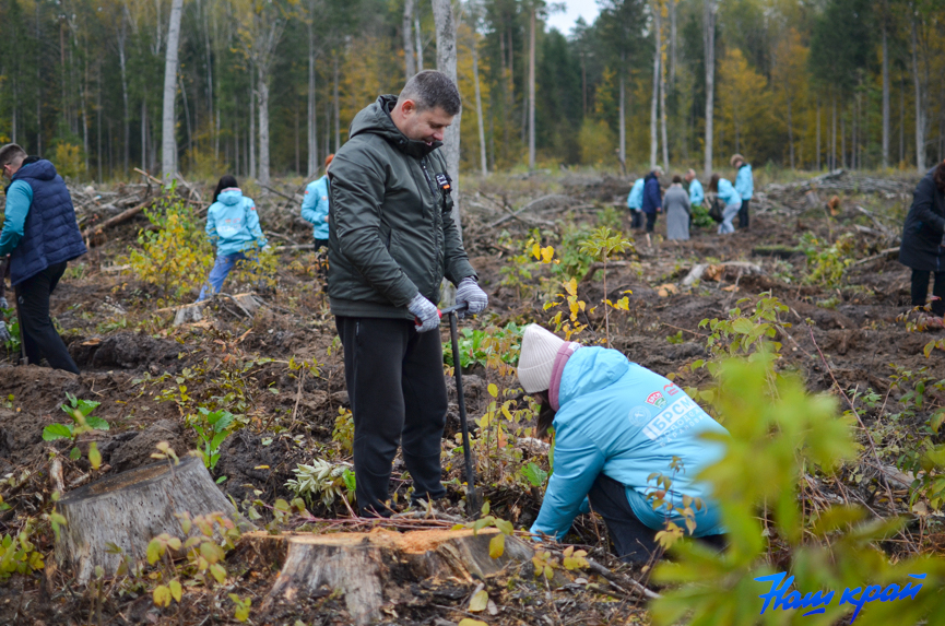 les-(22).jpg les-(22).jpg