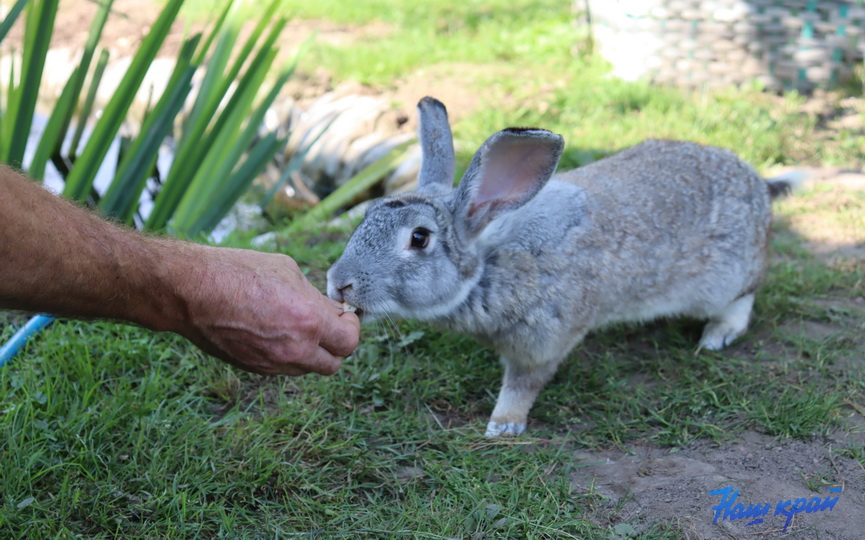 zoosad26_07.JPG