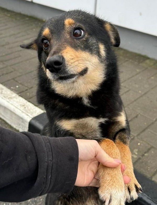 photo_2025-12-15_15-42-46 (3).jpg