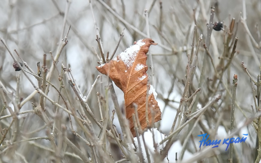 8888-pogoda-yanvar_3.JPG