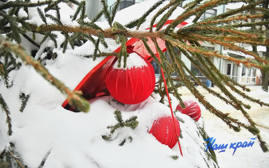 zima26-01-26 (4).JPG