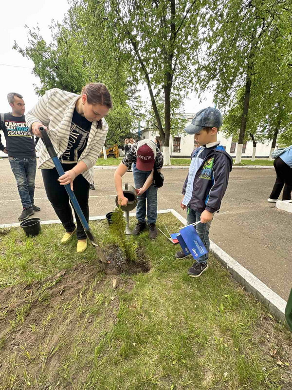 alleyu-semejnykh-derevev-zalozhili_06.jpg