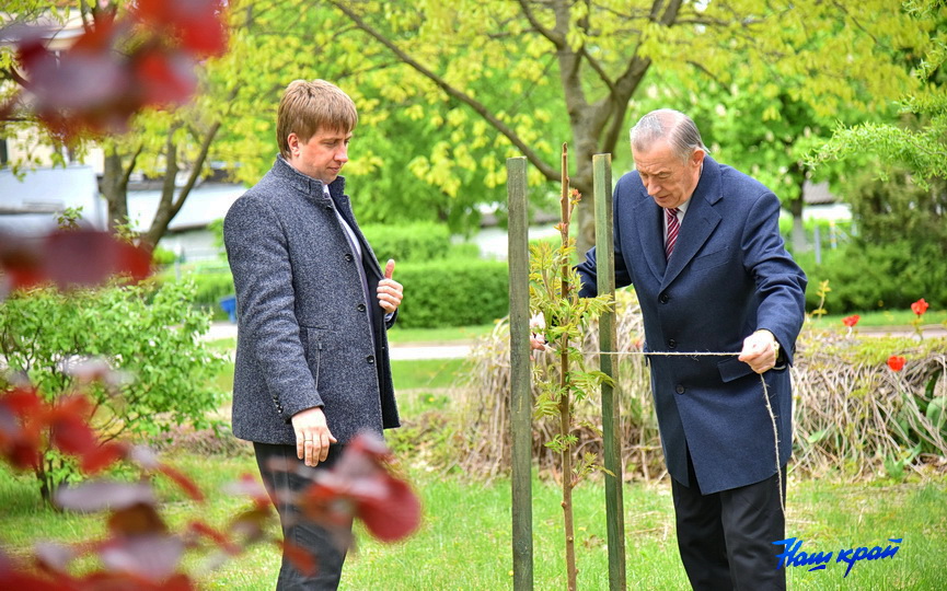 vasilij-kochurko-posadil-derevo-na-allee-pochetnykh-grazhdan_3.JPG