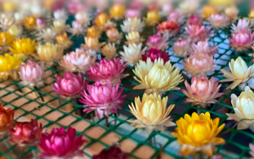 photo_2025-10-21_14-42-38.jpg photo_2025-10-21_14-42-38.jpg