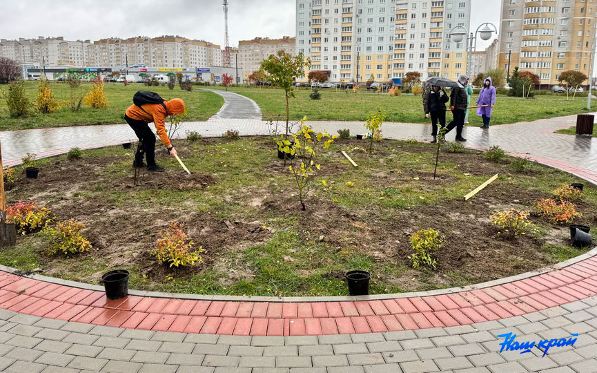 subbotnik-(15).jpg subbotnik-(15).jpg