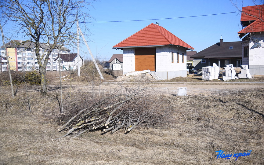 obrezka-derevjev-4.JPG