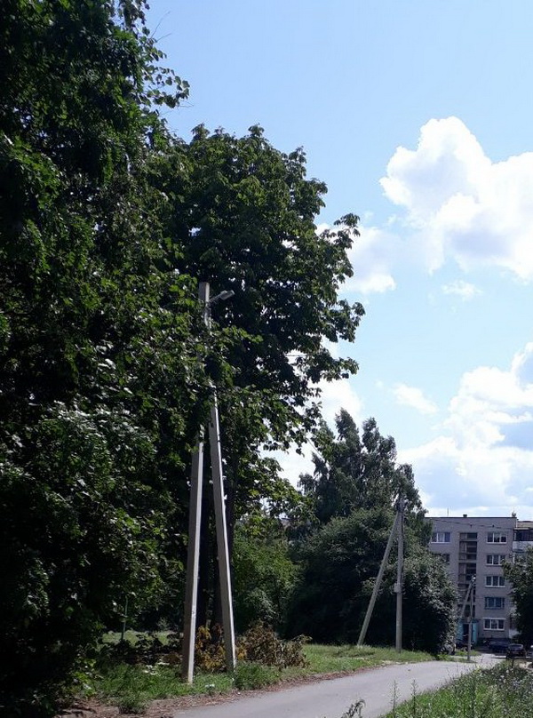 zhkh-svet_1.jpg