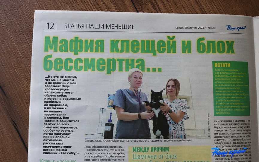 gazeta-30-08 (8).JPG