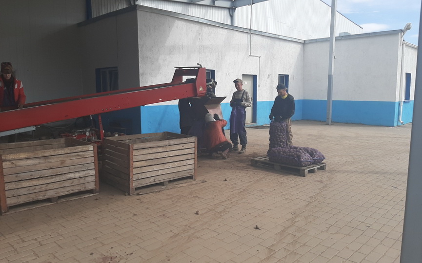 zhshara-agro_1.jpg