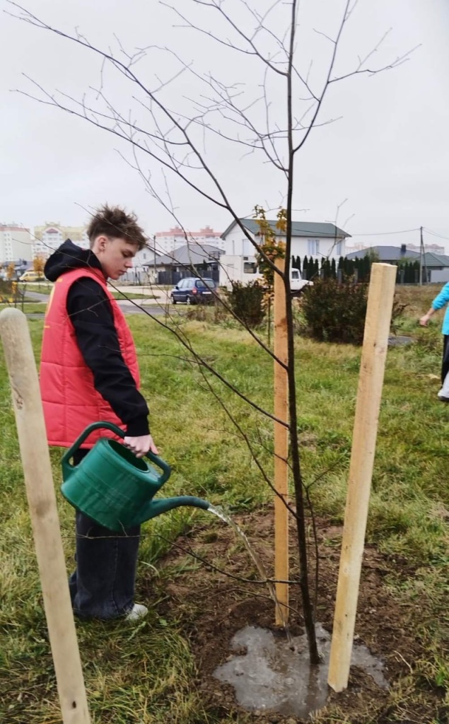 35165a49-8d63-45e7-8227-b83d0b241313.jpg 35165a49-8d63-45e7-8227-b83d0b241313.jpg