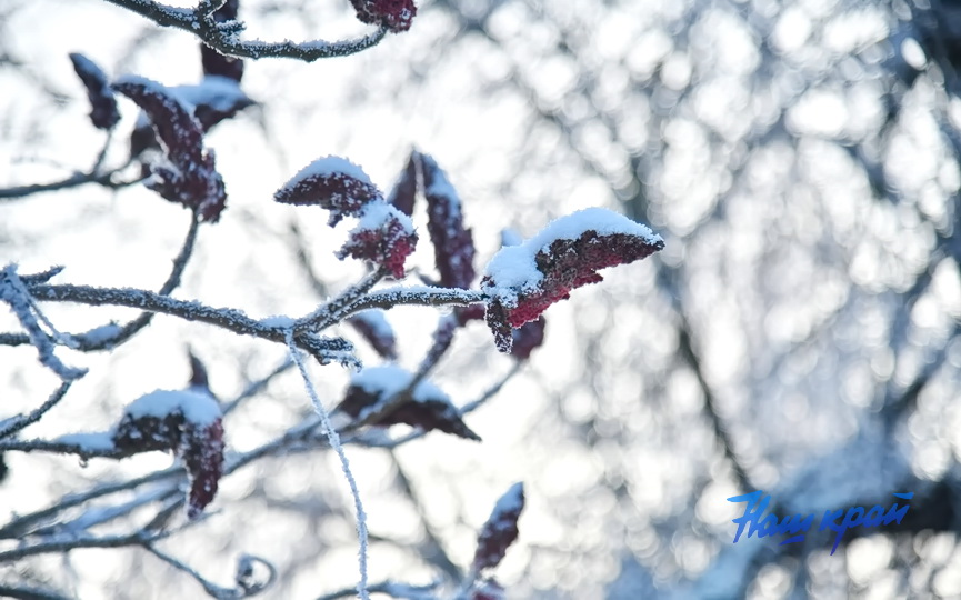 pogoda-zima-18-01 (13).JPG