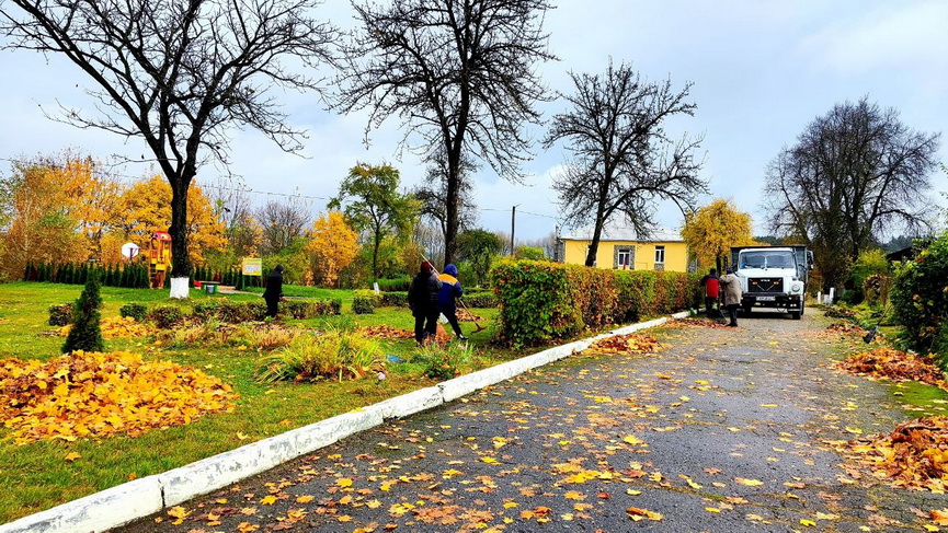 photo_2025-10-25_16-11-02_новый размер.jpg photo_2025-10-25_16-11-02_новый размер.jpg