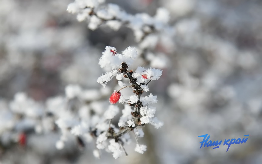 pogoda-19-01 (6).JPG