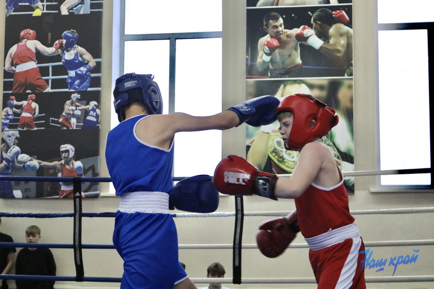 boks-_0561 (20).jpeg