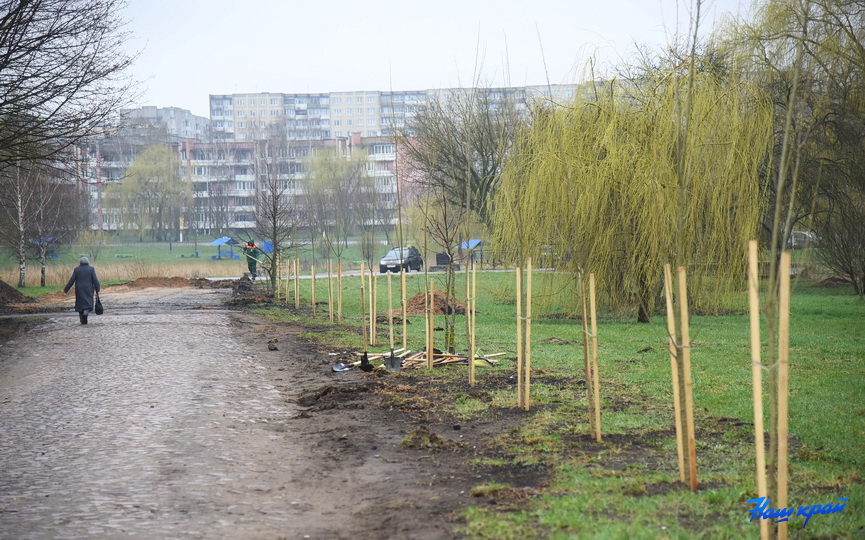 subbotnik-17-04_22.JPG