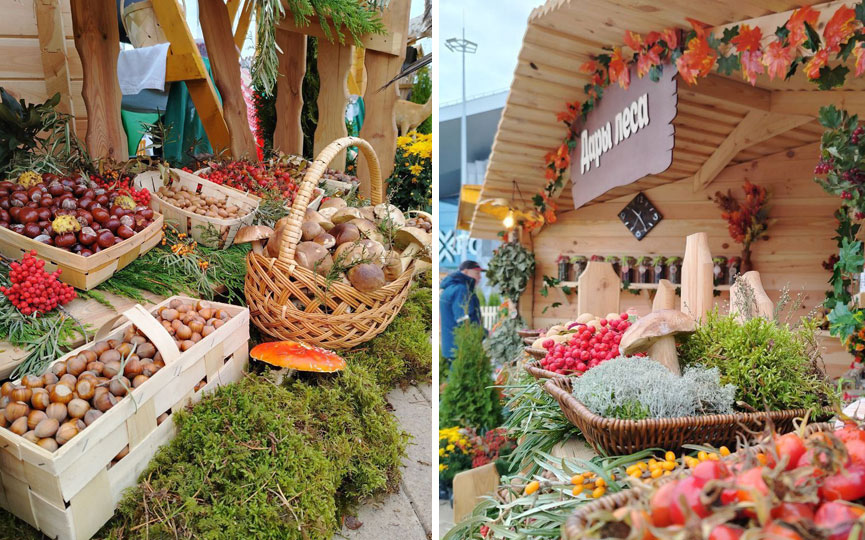 2025-10-16_12-13-(4).jpg 2025-10-16_12-13-(4).jpg